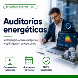 CURSO ONLINE AUDITORÍAS...